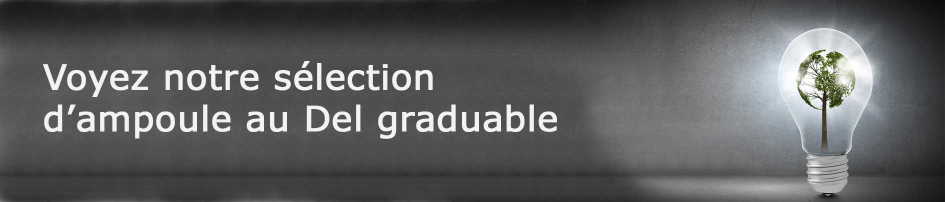 eclairage et ampoule del ou led ecoenergetique residentiel ou commercial